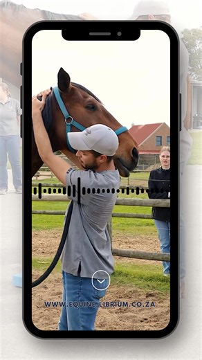 Connections create careers and at Equine Librium College, we make...