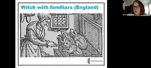 Witch-trials and their causes in early modern Europe