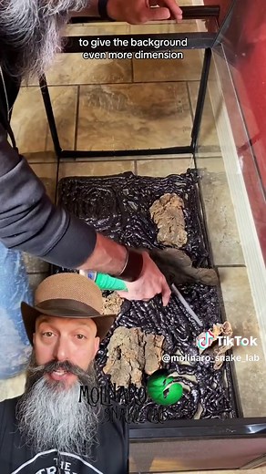 Customizing the Zoo Med Skyscraper: Crested Gecko Enclosure Build!