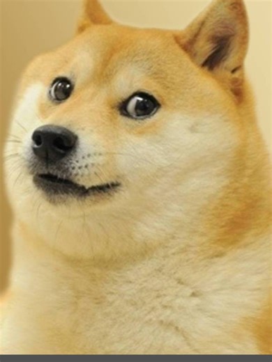 Mastering Aimbot Techniques in DMZ Warzone