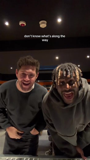 Niall Horan: The Journey of Life and Driving Safe | TikTok