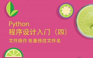 Python 文件操作 批量修改文件名