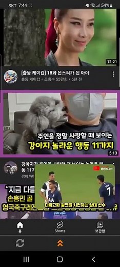 IgeBlock - YouTube ad blocker