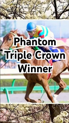 Just 4 Races to Legend – The Phantom Triple Crown Winner(Agnes Tachyon) #horseracing