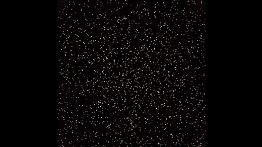 Computer Representation of the Stellar Motions in the Core of M4 - NASA Science