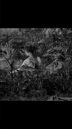 Watch Brigitte Bardot starring in SCHOOL FOR LOVE, now on demand.