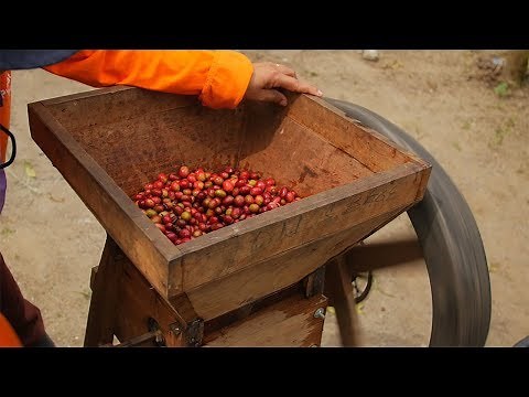 Starbucks: Sumatra Coffee is a Miracle