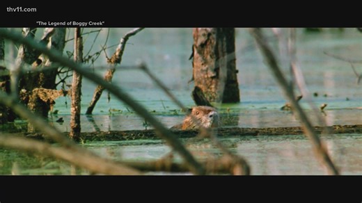 'The Legend of Boggy Creek' depicts the Fouke Monster known throughout Arkansas