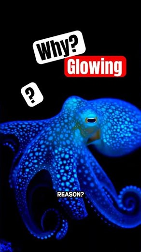 Why Deep Sea Fish Shine? #shortfeeds #facts #science