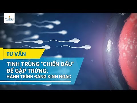 Sperm "fight" to meet egg: An amazing journey