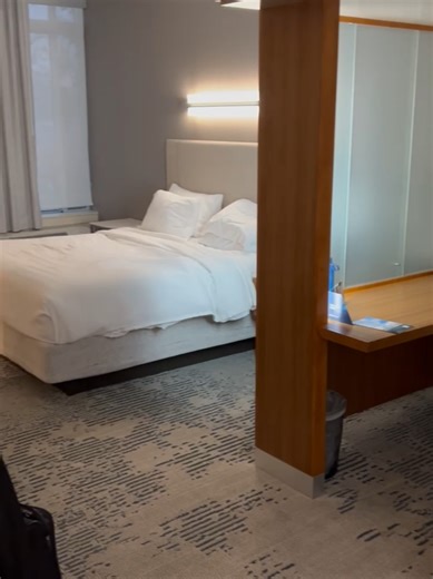 Affordable Hotels Near Houston Rodeo 2024