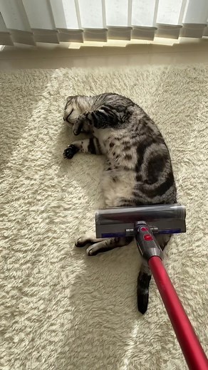 おすすめのアカウント