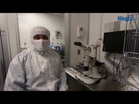 By Your Side with Analytical Solutions From West - Particle Analysis with USP Chapter 788: Method 2