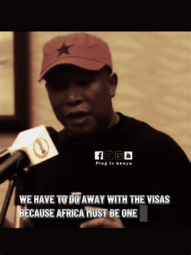 Julius Malema Discusses the Dollar and African Unity