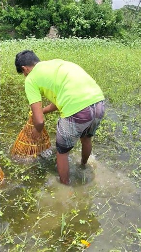 Hidden Pond Polo Fishing | Shocking Fish Catch