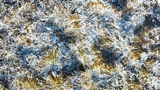 Easy Ways to Set Your Yard Up for a Spring Comeback Winter might...