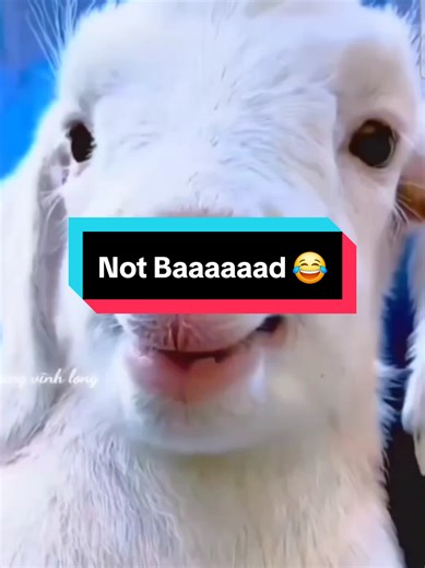 Replying to @sciencewithfreddy @Science with Freddy @manfromMarz Fred Fred still owes me a scientifically functioning, working, testable, repeatable, predictable, explainable, visually demonstratable, and coherent flat earth model. You also owe me a hypothesis for gravity 😂 #ForYou #FYP #FYF #foryoupage #foryoufeed