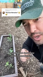 I trained crows to bring me gifts—like a plastic sleeve and an antique marble—but convincing them to help in the garden? That’s another challenge! They think my peas are weeds! 🌿🐦 Time to figure out how to turn these clever birds into real garden assistants. Any ideas? 😆 | All About Gardening