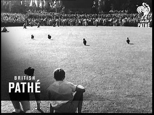 Selected Originals - Berlin - Poodle Race (1957)