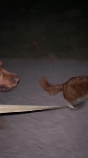 Hello Wonderful Friends - From Paul, Red & Woody at The Principia In Town & Country! Have an Awesome Thursday Evening! | Paul Flotron