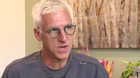 Beware of yard mushrooms—a hidden danger for dogs