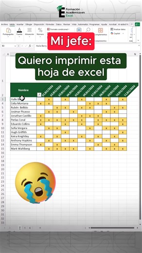 Imprime correctamente tus hojas de Excel con la herramienta "vistas" y lógralo en solo unos pocos segundos. 😎 #excel #exceltips #exceltutorial | FAE - Formación Académica Excel