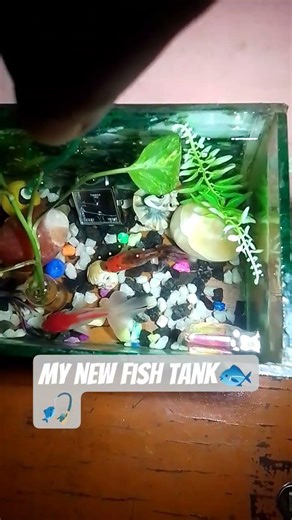 #newfishtank🐟🎣