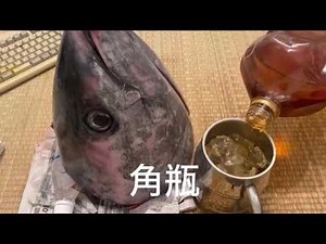 【コメ無し】2024年アル中カラカラ生活まとめ(後編)