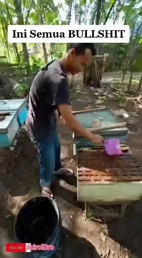 Beekeeping Essentials: Feeding and Caring for Bees