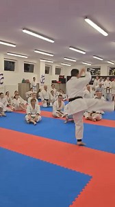 Shotokan Training. | Karate Science