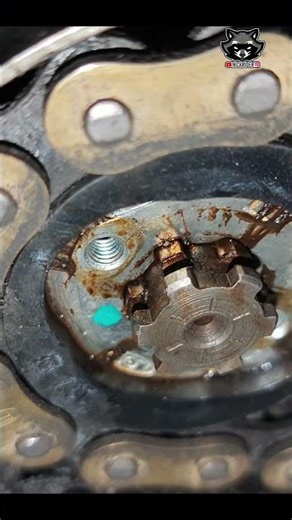 Chain Noise When Moving the Motorcycle