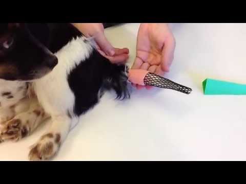 How to use a dog end™