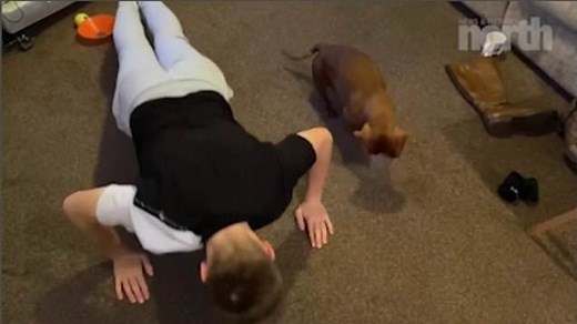 Sausage dog loves doing press-ups with her owner