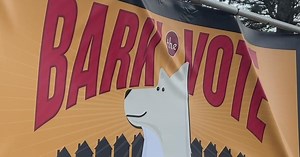 San Francisco dog owner encourages voting through canine community