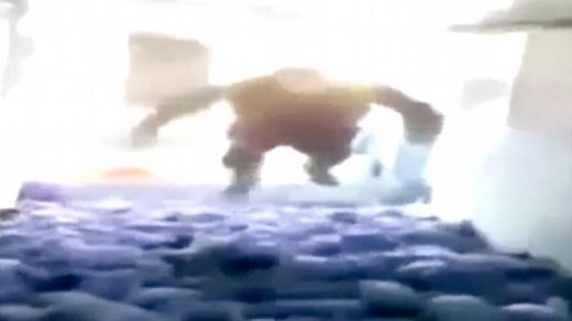 Piglets killed by man belly-flopping on them in sick prank