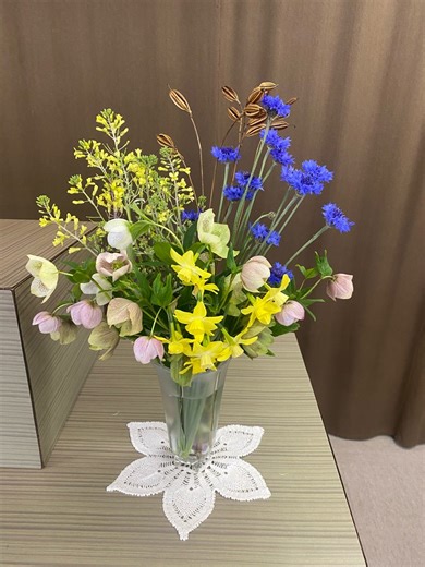 ぞうあざらしの黄昏時の音楽