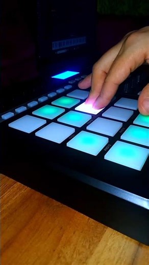 Lights - Worlde Panda