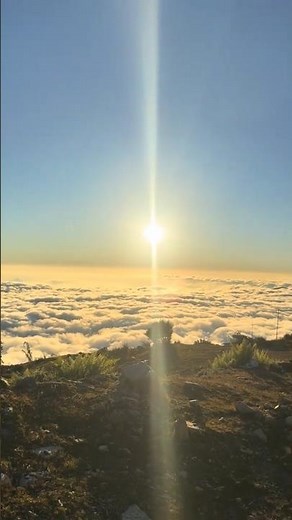 WOW🥵😱#verybeautifull moments😍🤯#ytstudioes #vairalshort #fyp #fypyoutube #neture #sunrise #vairalsong