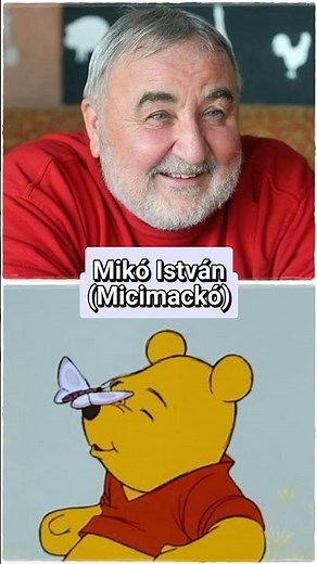 A magyar hangok, akik nélkül Micimackó nem lenne ugyanaz 🐻🎙️ #micimackó #szinkron #magyar