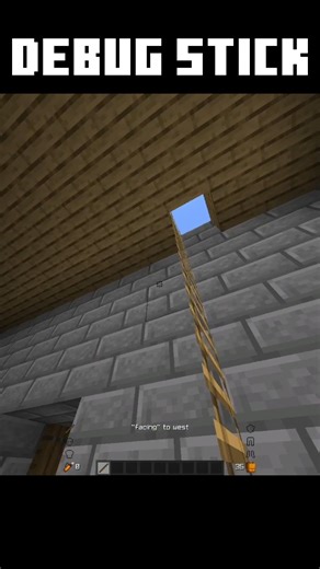 debug stick #minecraft