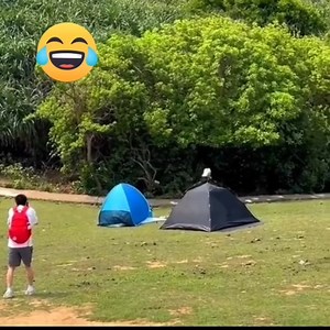 Crazy funny video | Physics Theories