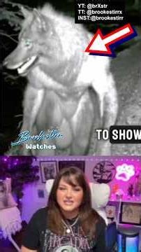 Female DOGMAN Caught on Trail Cam?! #dogman #cryptids #scaryvideos #cryptozoology #reactionvideo