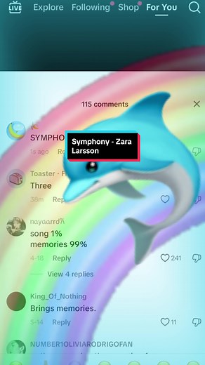 Symphony - Zara Larsson Meme Song Lyrics Edit