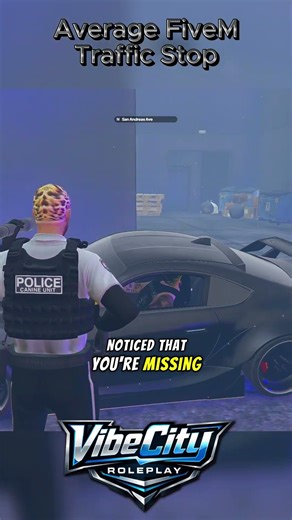 Average FiveM Traffic Stop