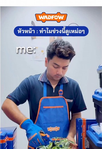 wadfow thailand บน TikTok
