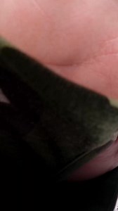 3.4K views · 30 reactions | Your ski buddies will thank you 欄 Buy your 25/26 Season Pass to enjoy Passholder Weekends and get EIGHT 50% off buddy tickets for next season. Hit the link below to explore pass options and lock in your uncrowded winter. https://powdermountain.com/tickets/season-passes #powdermountain #seasonpass #uncrowdedskiing | Powder Mountain | Facebook