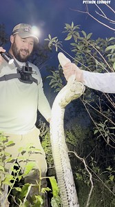 34K views · 817 reactions | Had a young kid with us today who faced his fear head on. He tried to grab that python three different times but kept letting go because the nerves got to him. But on the third try, he finally held on and did it! Ole Trouble was about to catch it himself if he hadn’t! Proud moment watching him push through the fear and finish the job. | Python Cowboy Hunts | Facebook