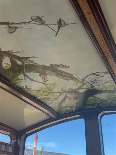 21 reactions | Vale of Rheidol Railway on Reels | Facebook