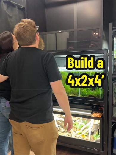 Build a Fun PVC 4x2x4’ Structure