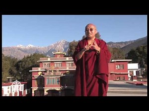 The Importance of Community